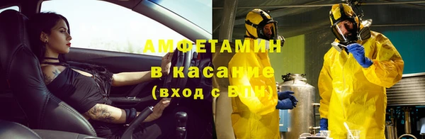 прущие грибы Алексеевка