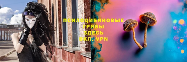 меф Арсеньев