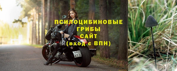 МДПВ Алзамай