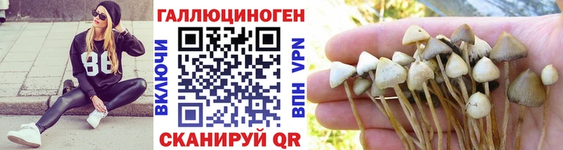 Галлюциногенные грибы мухоморы  hydra ссылки  Балахна 
